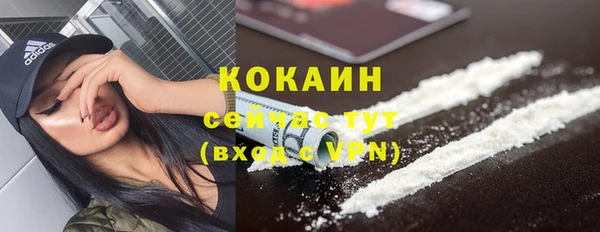 индика Заволжск