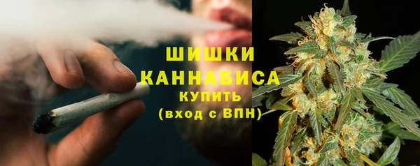 шишки Заводоуковск