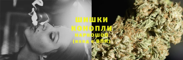 индика Заволжск