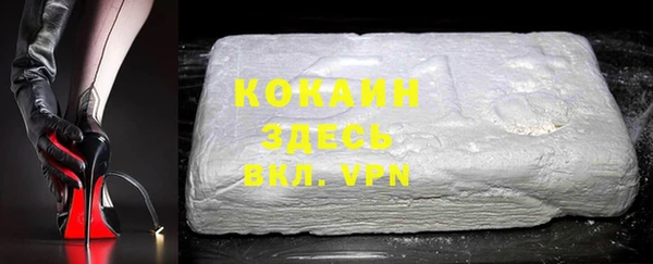 шишки Заводоуковск