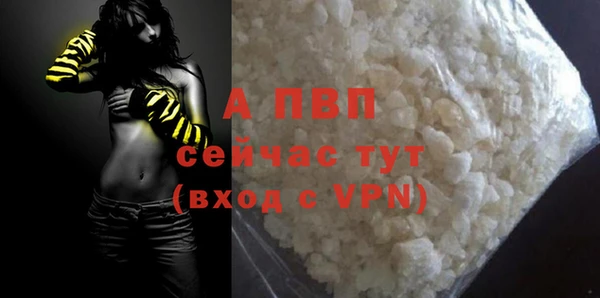 спиды Зеленокумск