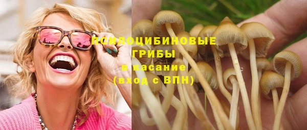 спиды Зеленокумск