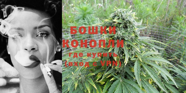 индика Заволжск